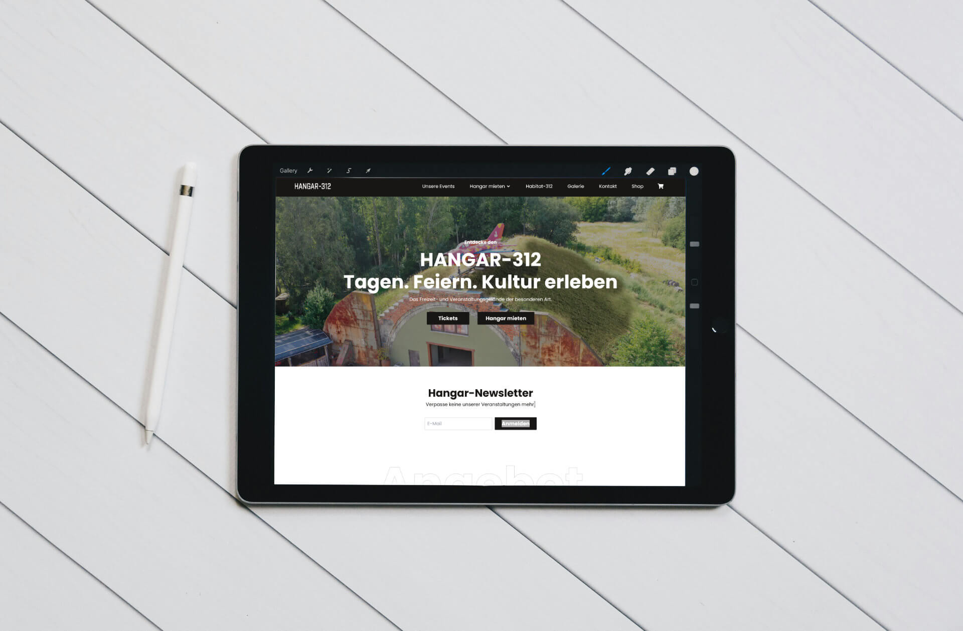 Website des Hangar-312